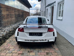 Audi TT 8J Clubsport rear wing